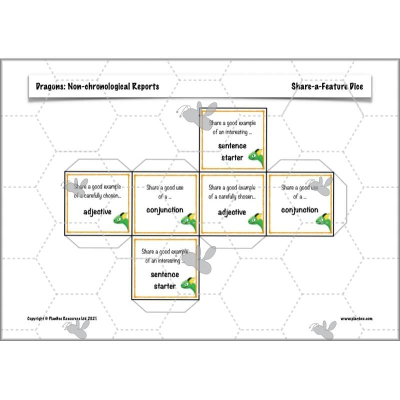 PlanBee Dragons KS2 | Non-chronological Reports Planning | Year 4