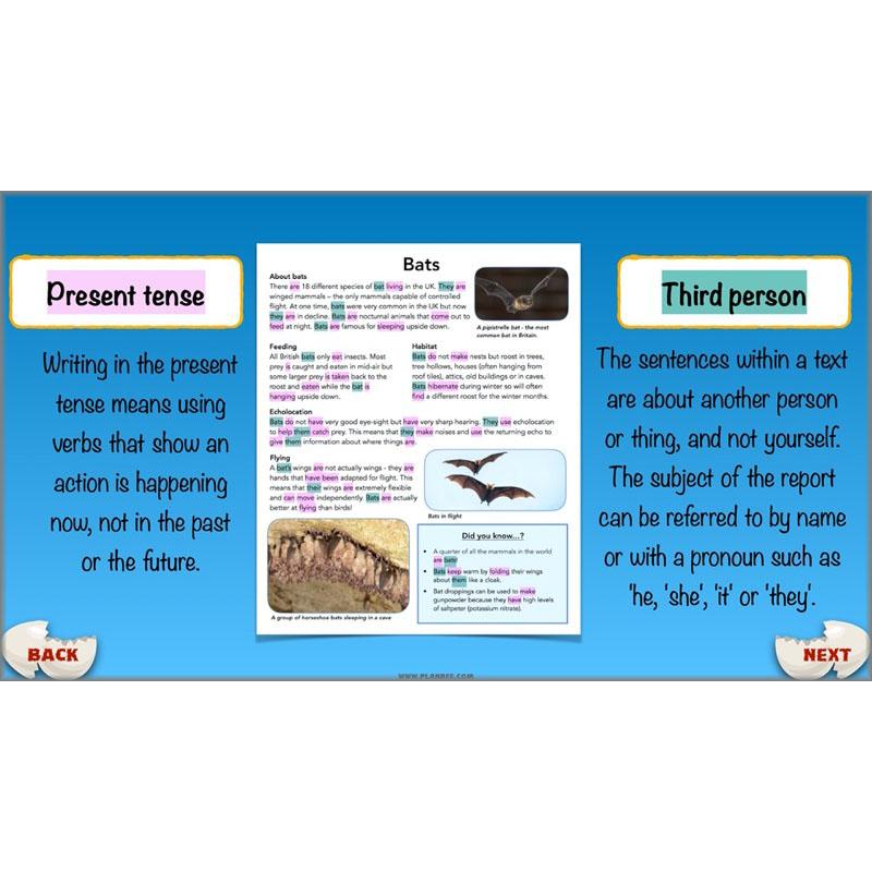 PlanBee Dragons KS2 | Non-chronological Reports Planning | Year 4