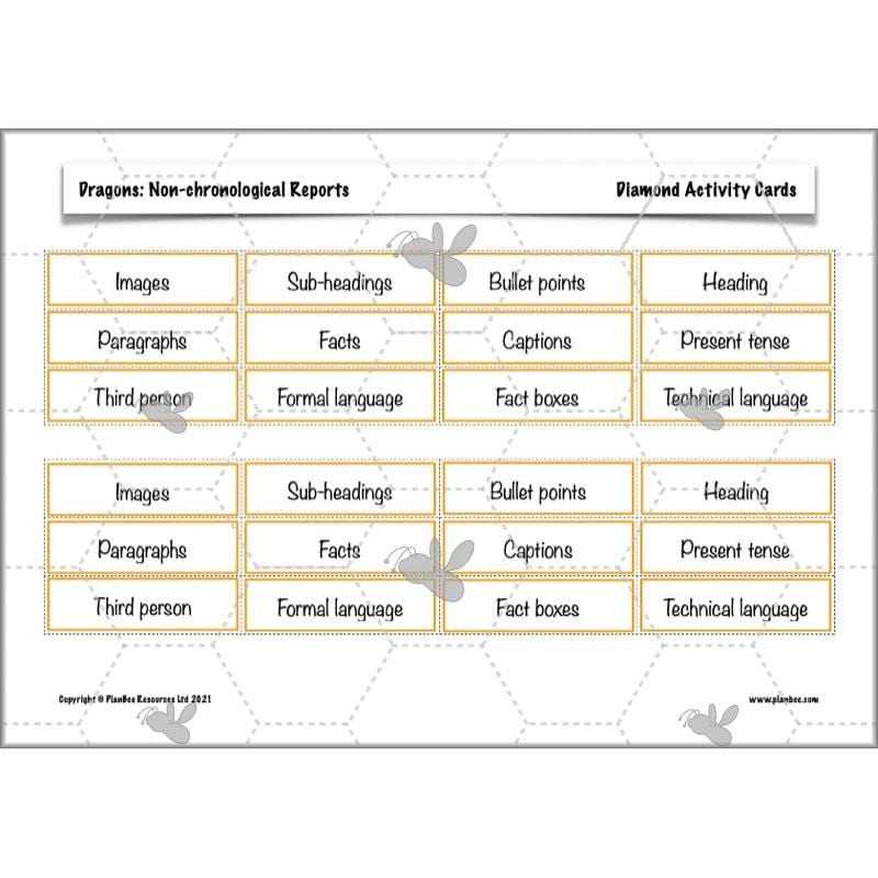 PlanBee Dragons KS2 | Non-chronological Reports Planning | Year 4