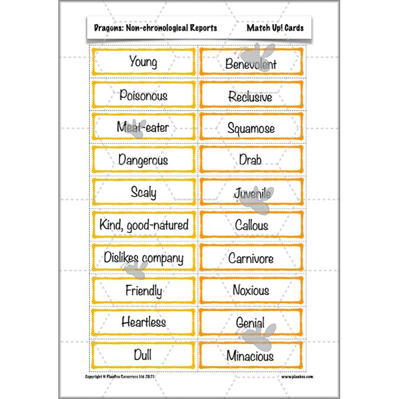 PlanBee Dragons KS2 | Non-chronological Reports Planning | Year 4