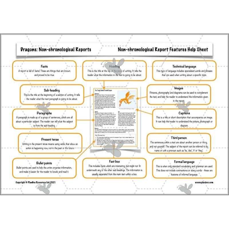 PlanBee Dragons KS2 | Non-chronological Reports Planning | Year 4