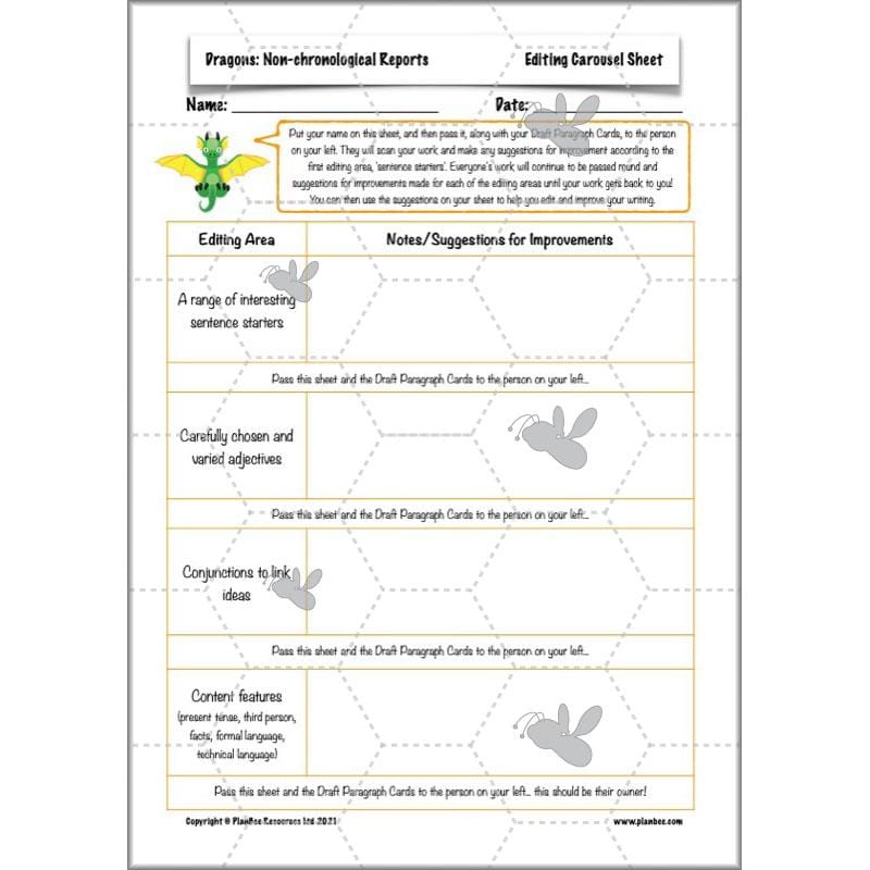 PlanBee Dragons KS2 | Non-chronological Reports Planning | Year 4