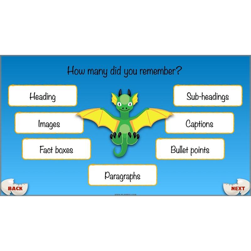PlanBee Dragons KS2 | Non-chronological Reports Planning | Year 4