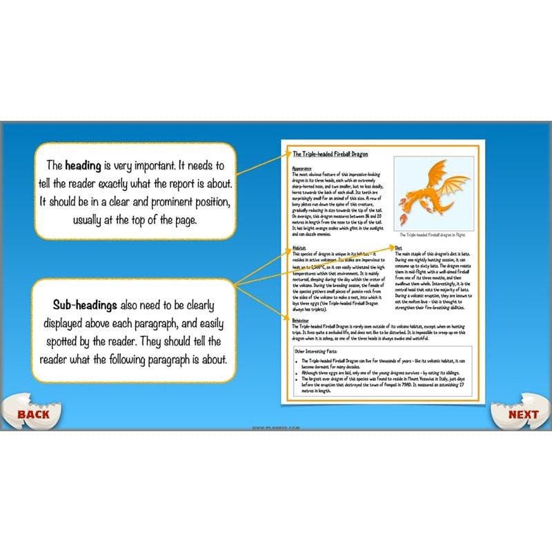 PlanBee Dragons KS2 | Non-chronological Reports Planning | Year 4