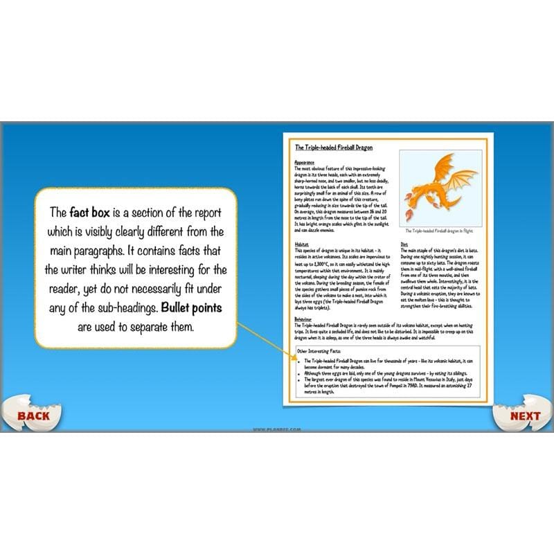 PlanBee Dragons KS2 | Non-chronological Reports Planning | Year 4