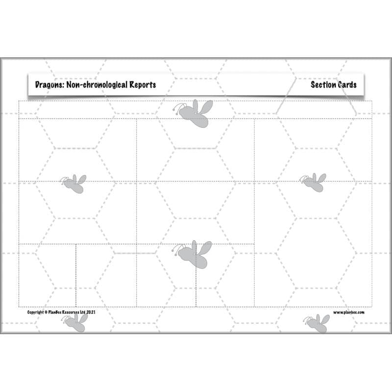 PlanBee Dragons KS2 | Non-chronological Reports Planning | Year 4