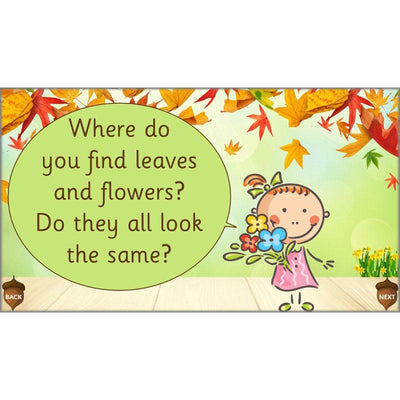 PlanBee Earth Art KS1 Nature Art for Kids by PlanBee