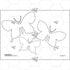 PlanBee Earth Art KS1 Nature Art for Kids by PlanBee