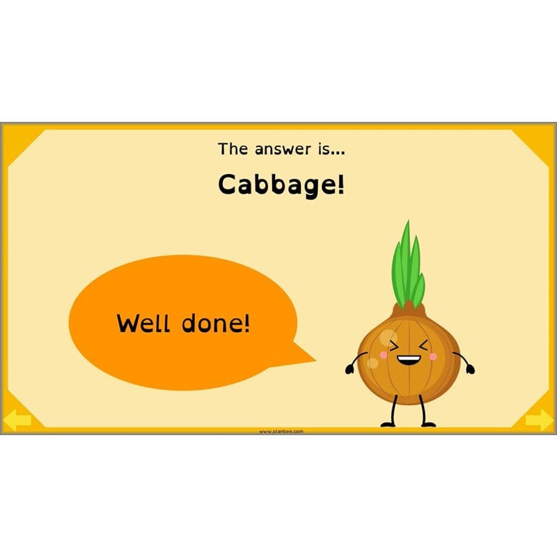 PlanBee Digestive System Year 4 Animals including Humans | PlanBee