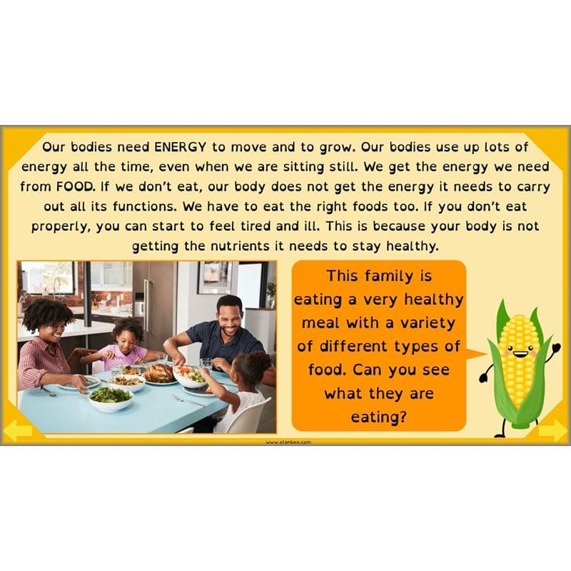 PlanBee Digestive System Year 4 Animals including Humans | PlanBee