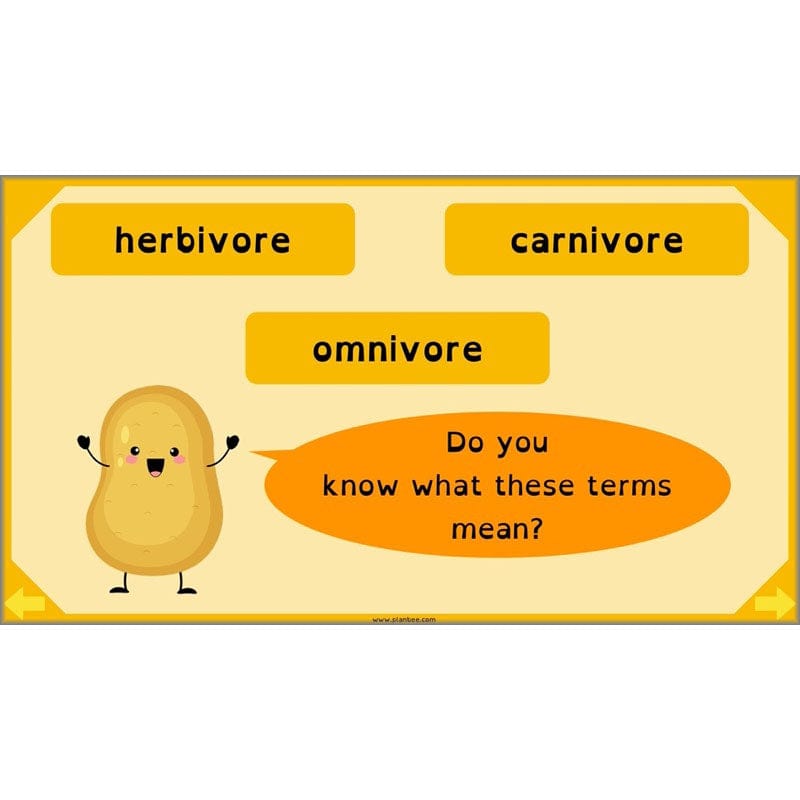 PlanBee Digestive System Year 4 Animals including Humans | PlanBee