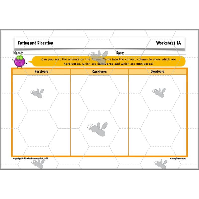 PlanBee Digestive System Year 4 Animals including Humans | PlanBee