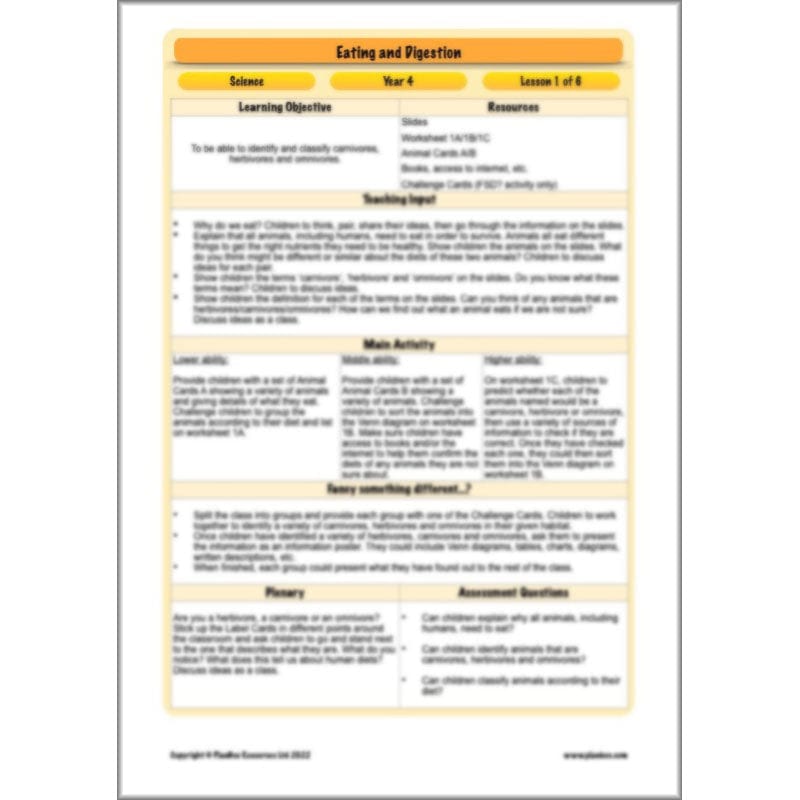 PlanBee Digestive System Year 4 Animals including Humans | PlanBee