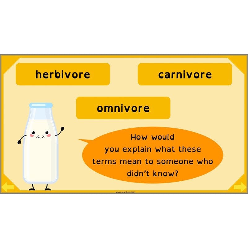 PlanBee Digestive System Year 4 Animals including Humans | PlanBee