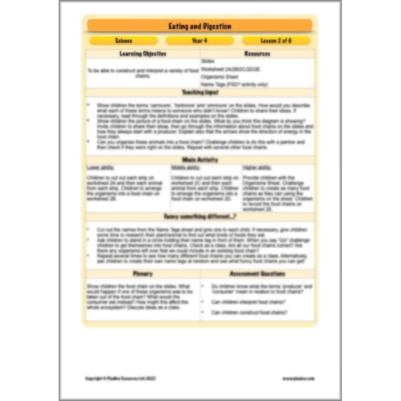 PlanBee Digestive System Year 4 Animals including Humans | PlanBee