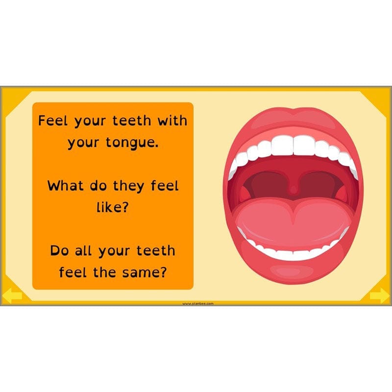 PlanBee Digestive System Year 4 Animals including Humans | PlanBee