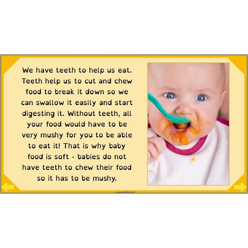 PlanBee Digestive System Year 4 Animals including Humans | PlanBee