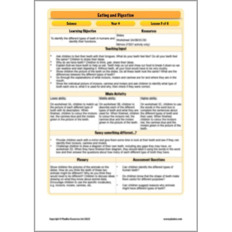 PlanBee Digestive System Year 4 Animals including Humans | PlanBee