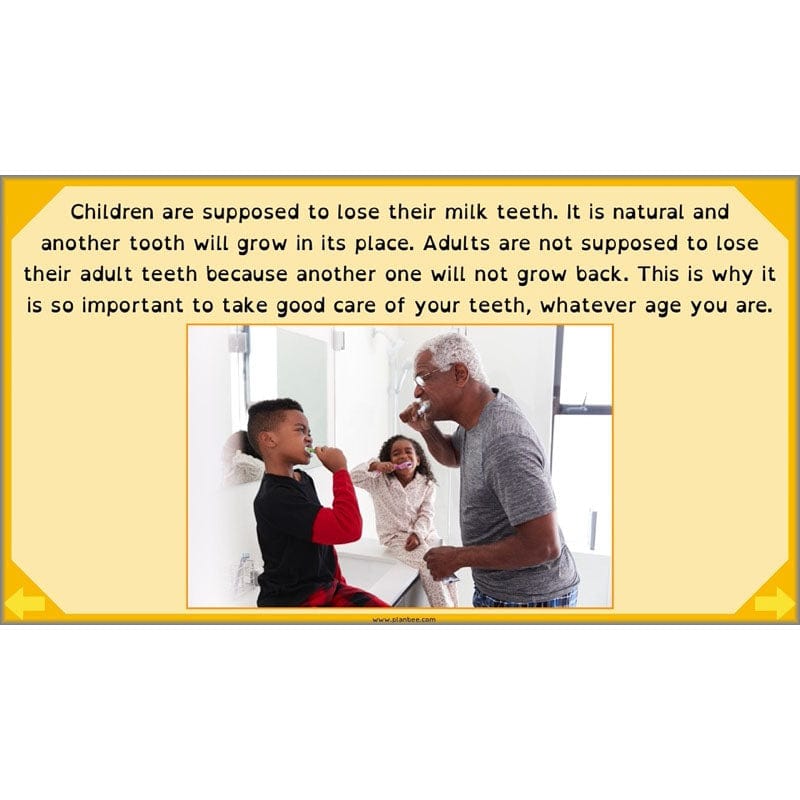 PlanBee Digestive System Year 4 Animals including Humans | PlanBee