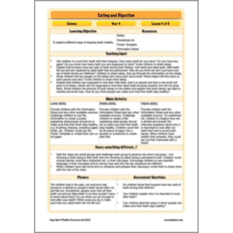 PlanBee Digestive System Year 4 Animals including Humans | PlanBee