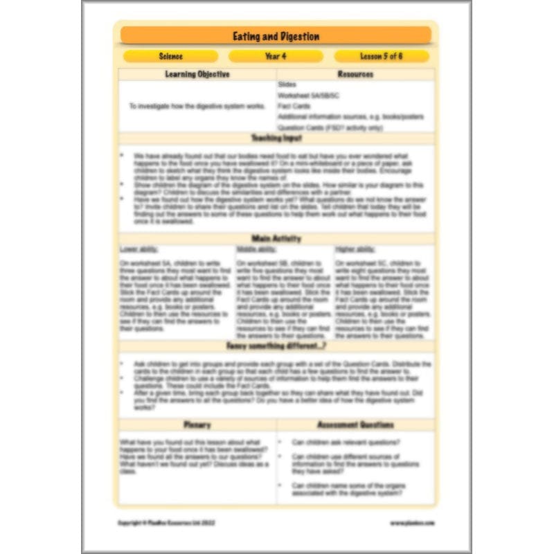 PlanBee Digestive System Year 4 Animals including Humans | PlanBee