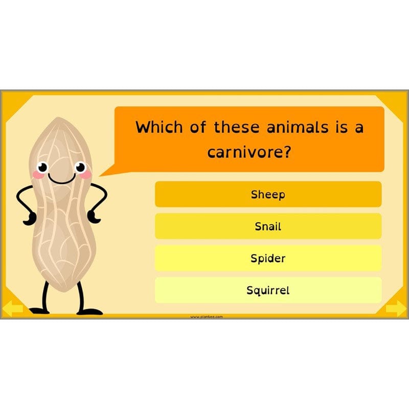 PlanBee Digestive System Year 4 Animals including Humans | PlanBee