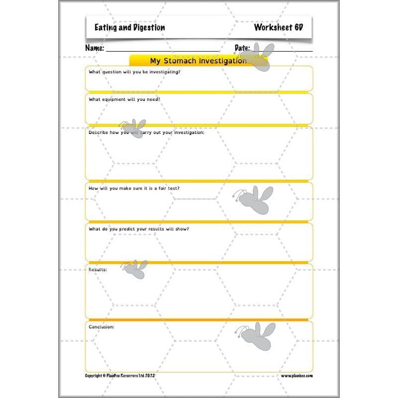 PlanBee Digestive System Year 4 Animals including Humans | PlanBee