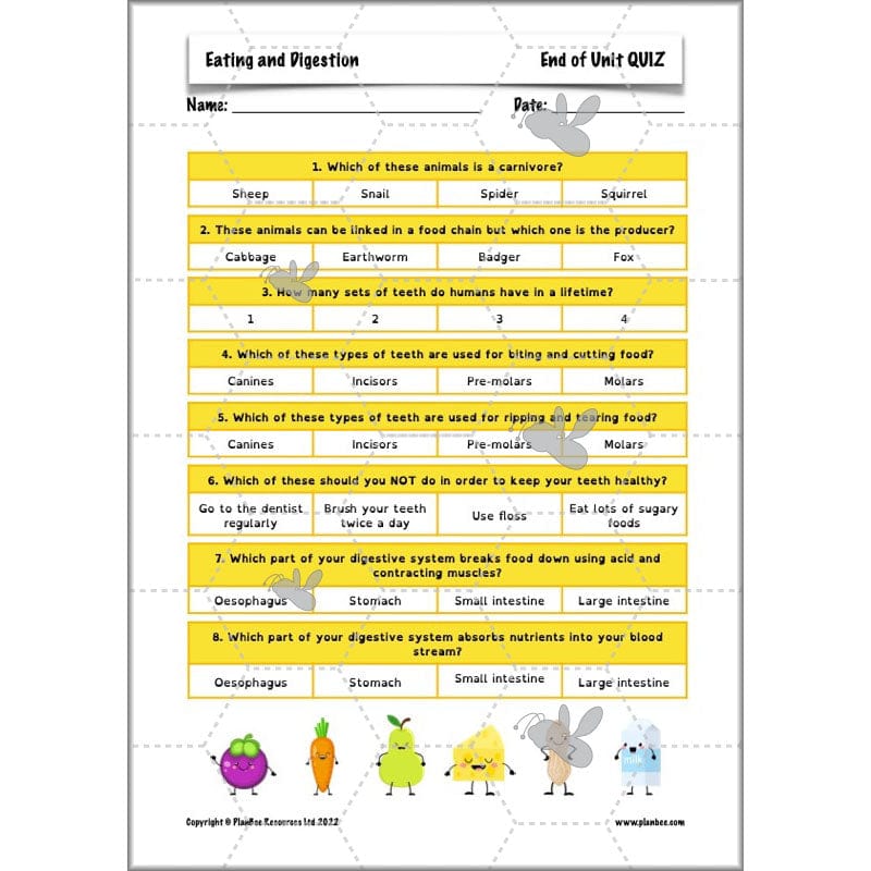 PlanBee Digestive System Year 4 Animals including Humans | PlanBee