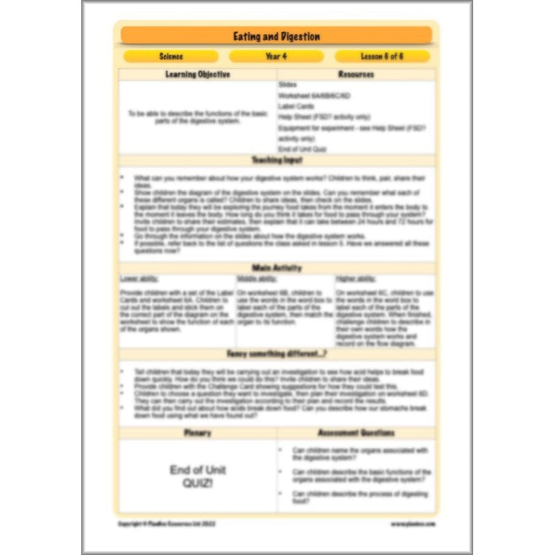 PlanBee Digestive System Year 4 Animals including Humans | PlanBee