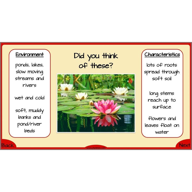 Year 6 Evolution and Inheritance KS2 | Science by PlanBee
