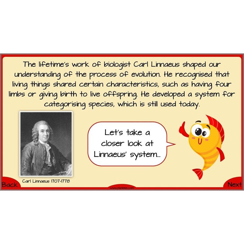 Year 6 Evolution and Inheritance KS2 | Science by PlanBee