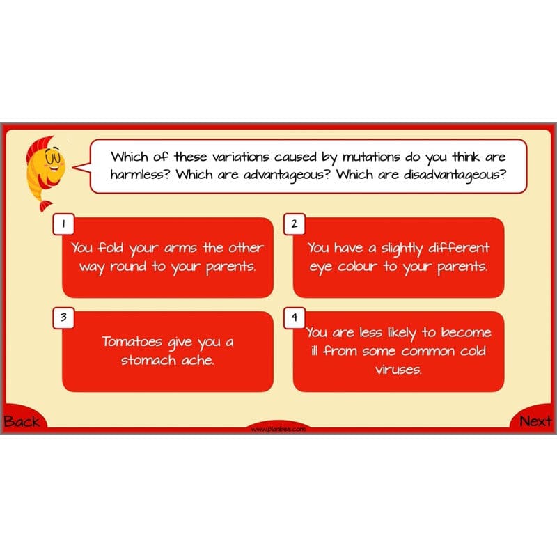 Year 6 Evolution and Inheritance KS2 | Science by PlanBee