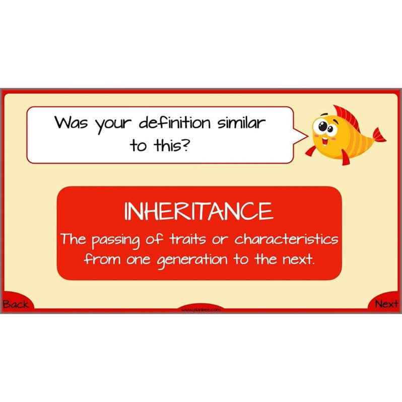 Year 6 Evolution and Inheritance KS2 | Science from PlanBee