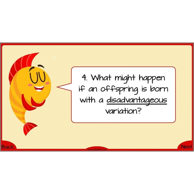 Year 6 Evolution and Inheritance KS2 | Science by PlanBee