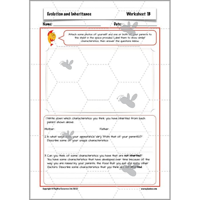 Year 6 Evolution and Inheritance KS2 | Science by PlanBee