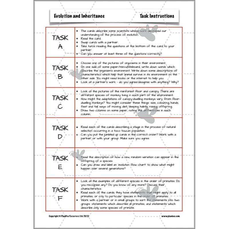 PlanBee Evolution and Inheritance KS2 | Year 6 Science by PlanBee