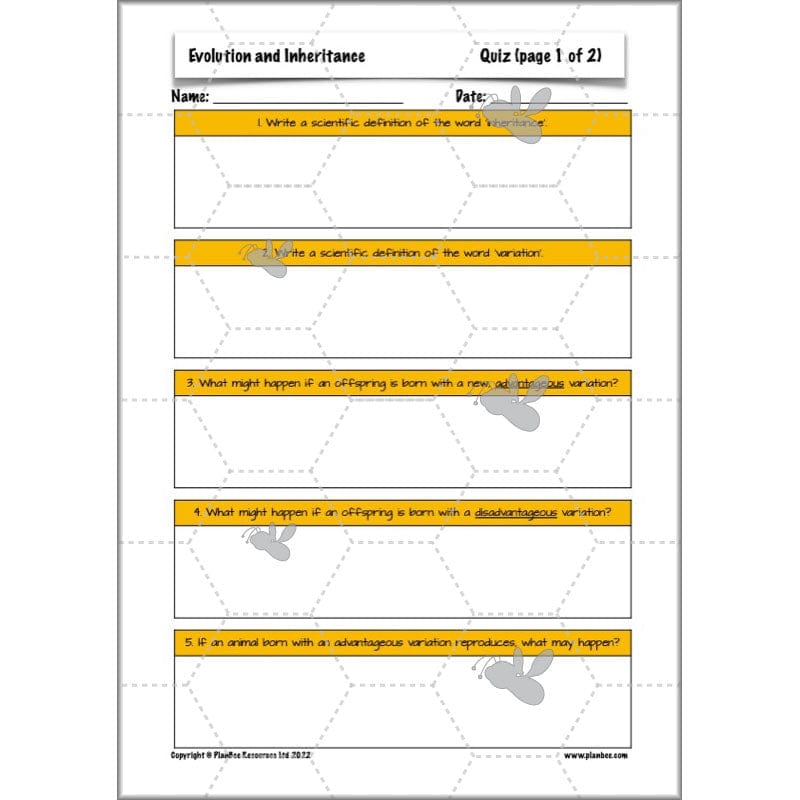 PlanBee Evolution and Inheritance KS2 | Year 6 Science by PlanBee
