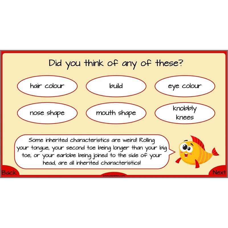 PlanBee Evolution and Inheritance KS2 | Year 6 Science by PlanBee