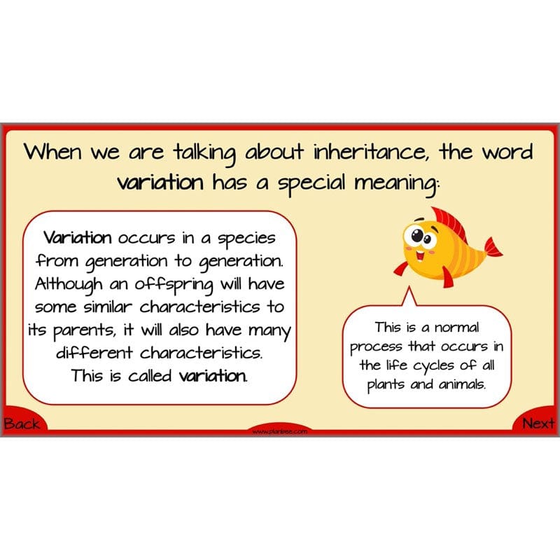 PlanBee Evolution and Inheritance KS2 | Year 6 Science by PlanBee