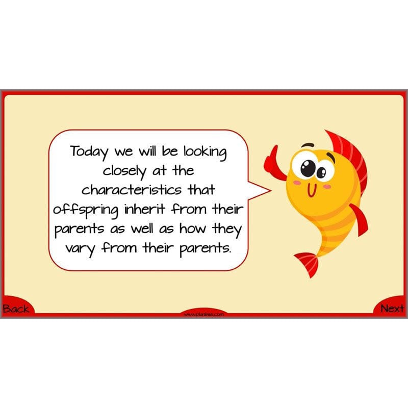 PlanBee Evolution and Inheritance KS2 | Year 6 Science by PlanBee