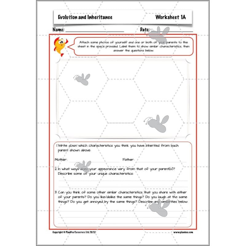 PlanBee Evolution and Inheritance KS2 | Year 6 Science by PlanBee