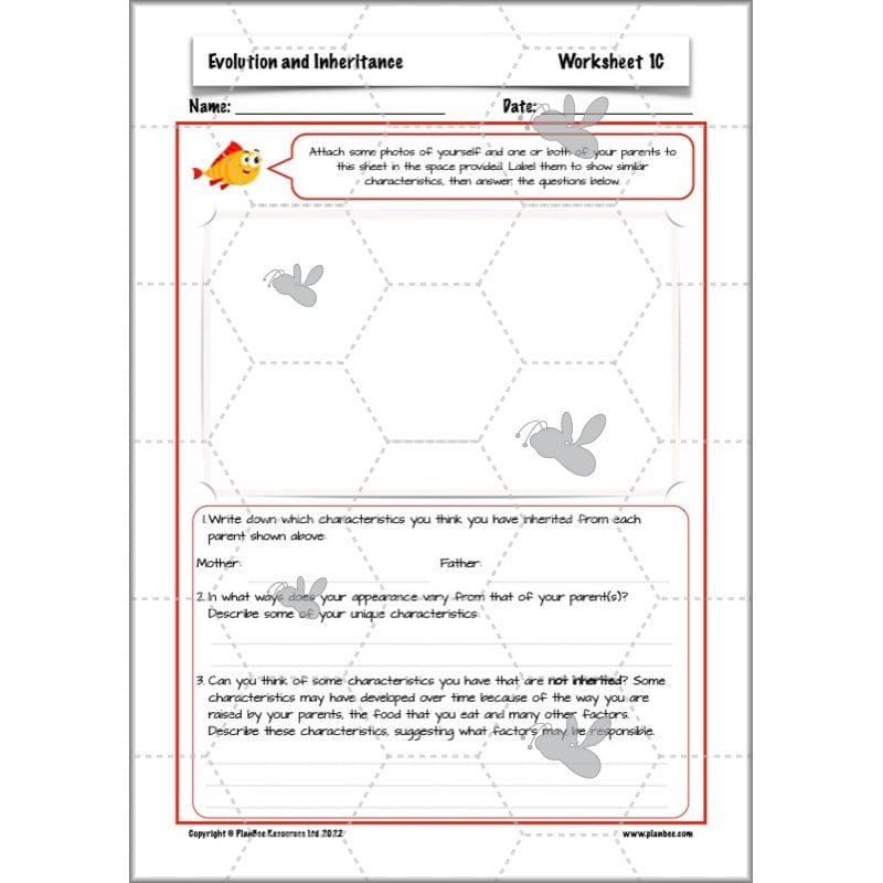 PlanBee Evolution and Inheritance KS2 | Year 6 Science by PlanBee