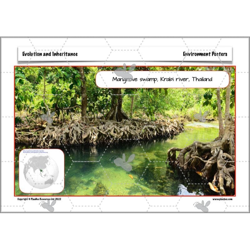 PlanBee Evolution and Inheritance KS2 | Year 6 Science by PlanBee