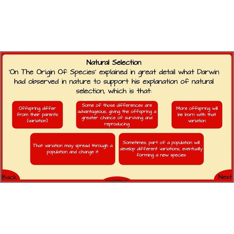 PlanBee Evolution and Inheritance KS2 | Year 6 Science by PlanBee