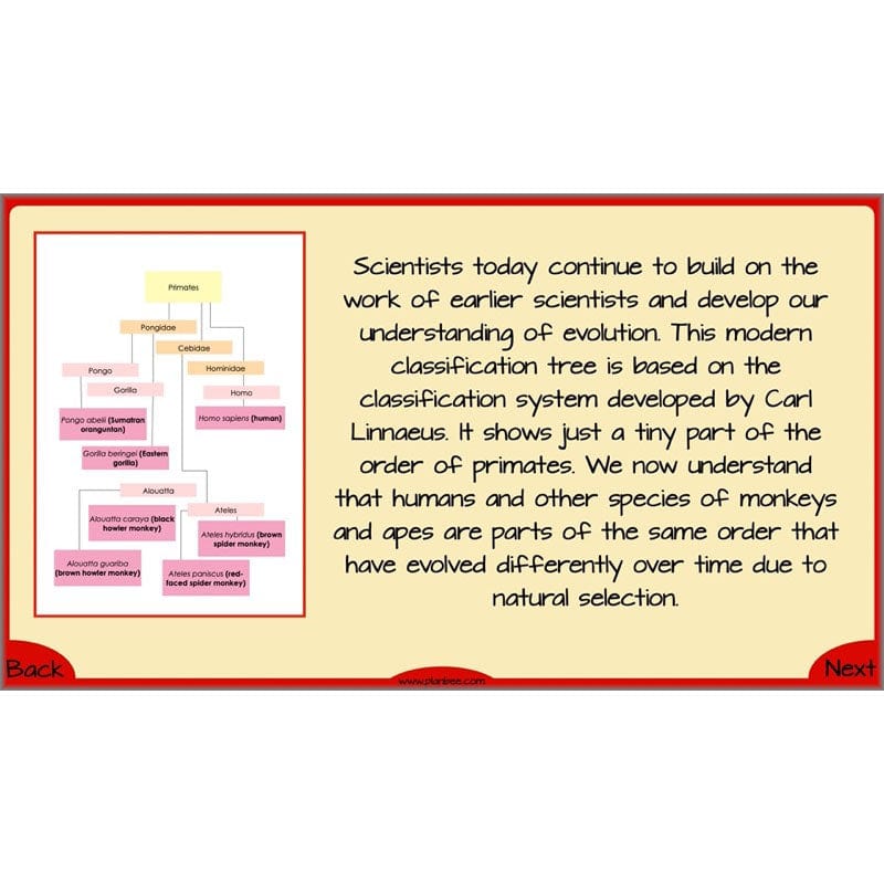 PlanBee Evolution and Inheritance KS2 | Year 6 Science by PlanBee