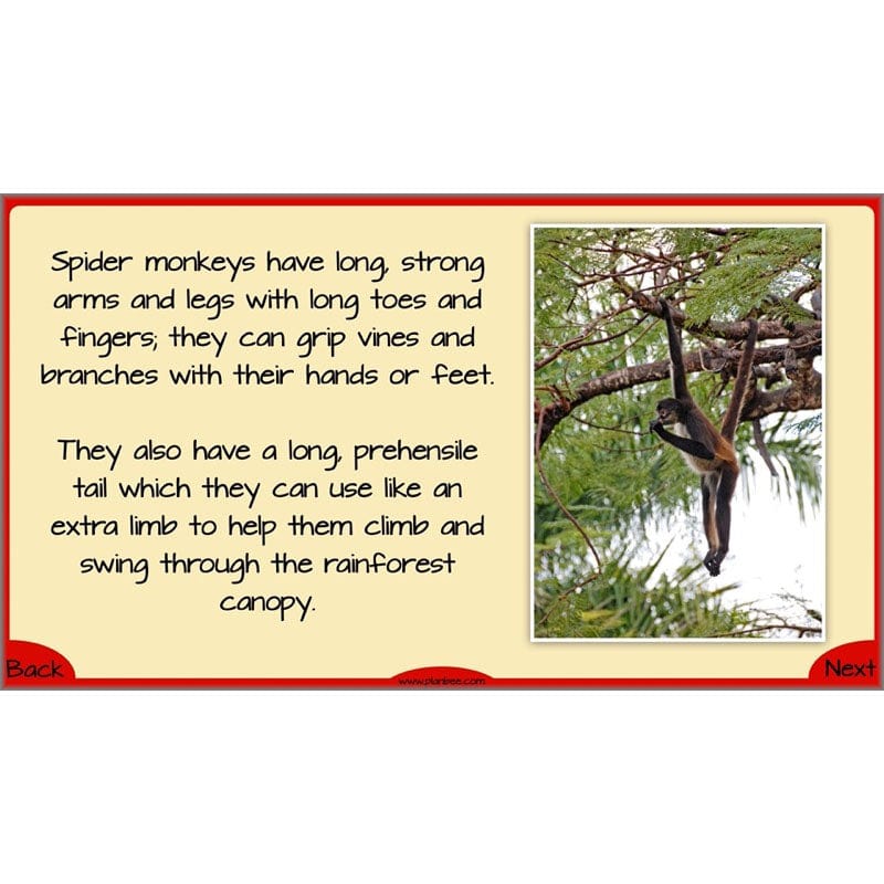 PlanBee Evolution and Inheritance KS2 | Year 6 Science by PlanBee