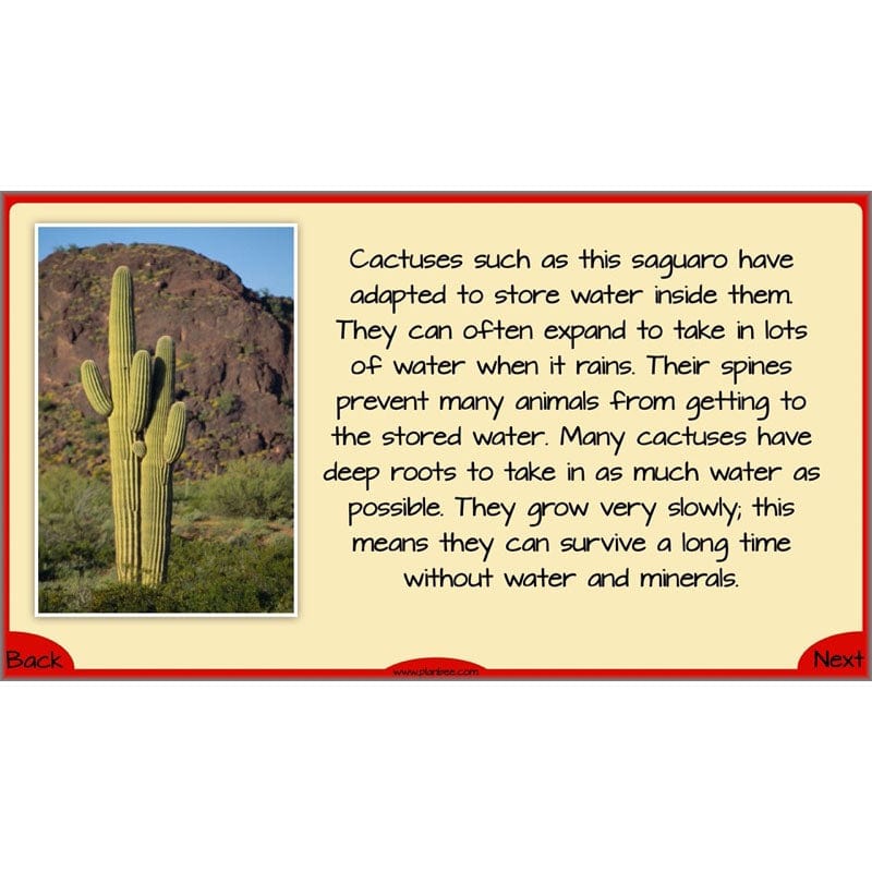 PlanBee Evolution and Inheritance KS2 | Year 6 Science by PlanBee