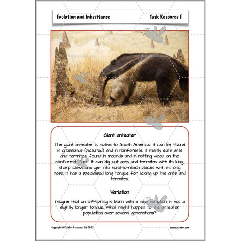 Year 6 Evolution and Inheritance KS2 | Science from PlanBee