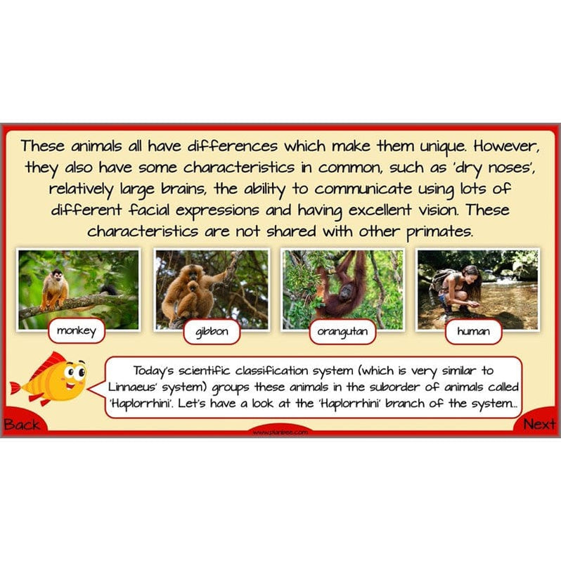 Year 6 Evolution and Inheritance KS2 | Science from PlanBee