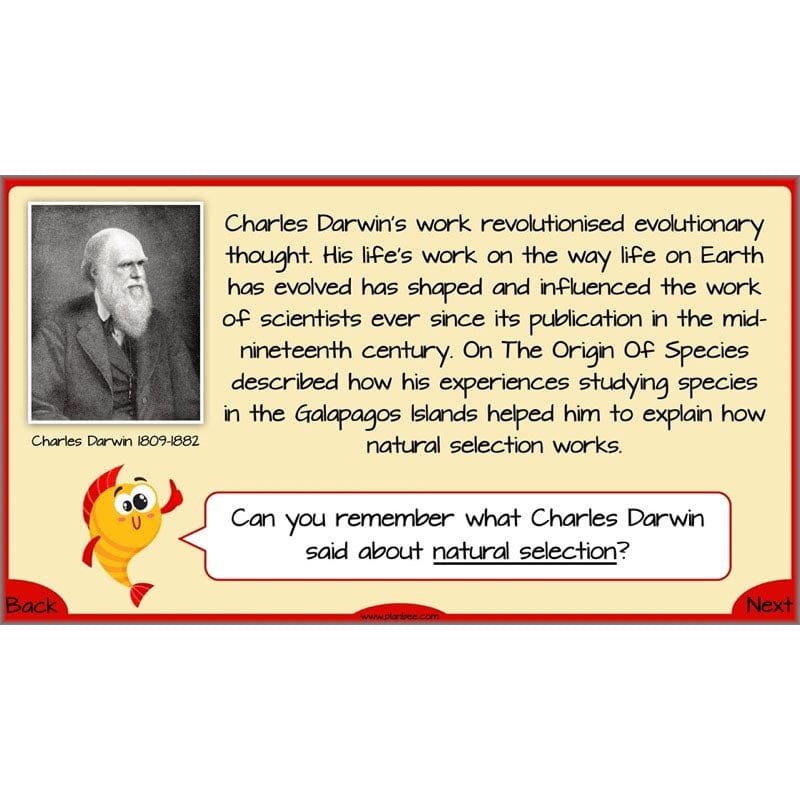 PlanBee Evolution and Inheritance KS2 | Year 6 Science by PlanBee